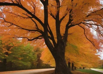 Fall in Love with His Creation