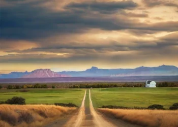 Is the USA Still The Land of Milk and Honey?