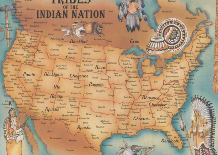 Reparations to the Indigenous Population of the USA