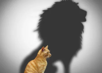 Perception is Reality