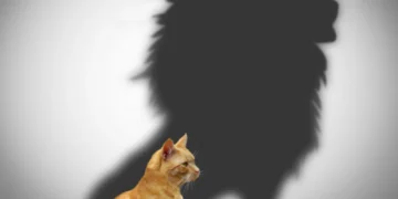 Perception is Reality