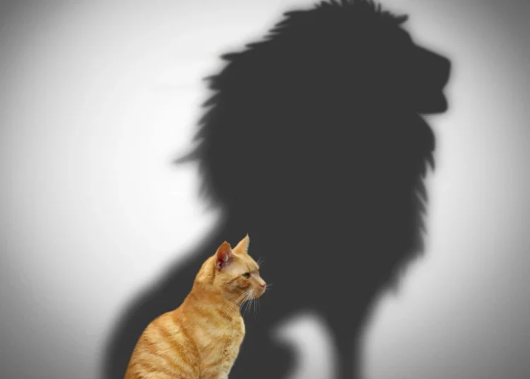 Perception is Reality