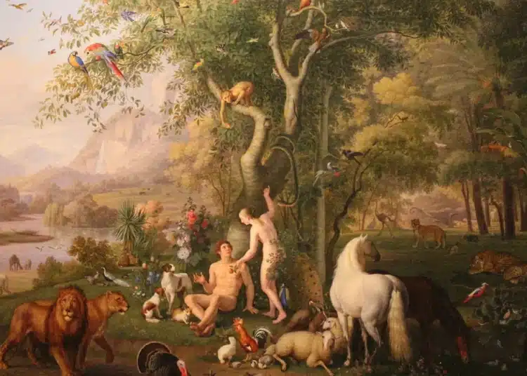 Exploring Evolution, Creationism, and the Concept of Intelligent Design